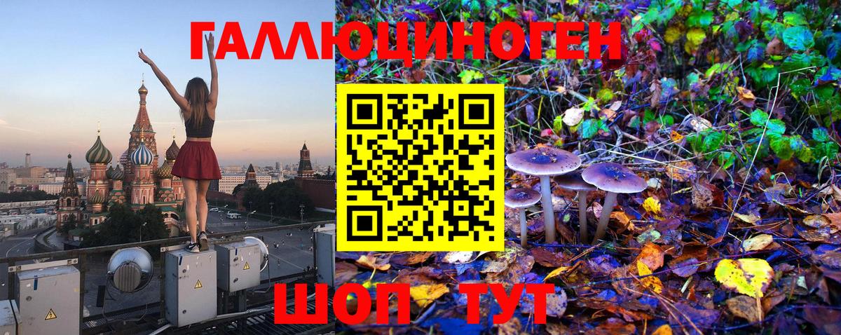 Псилоцибиновые грибы Psilocybe Зерноград